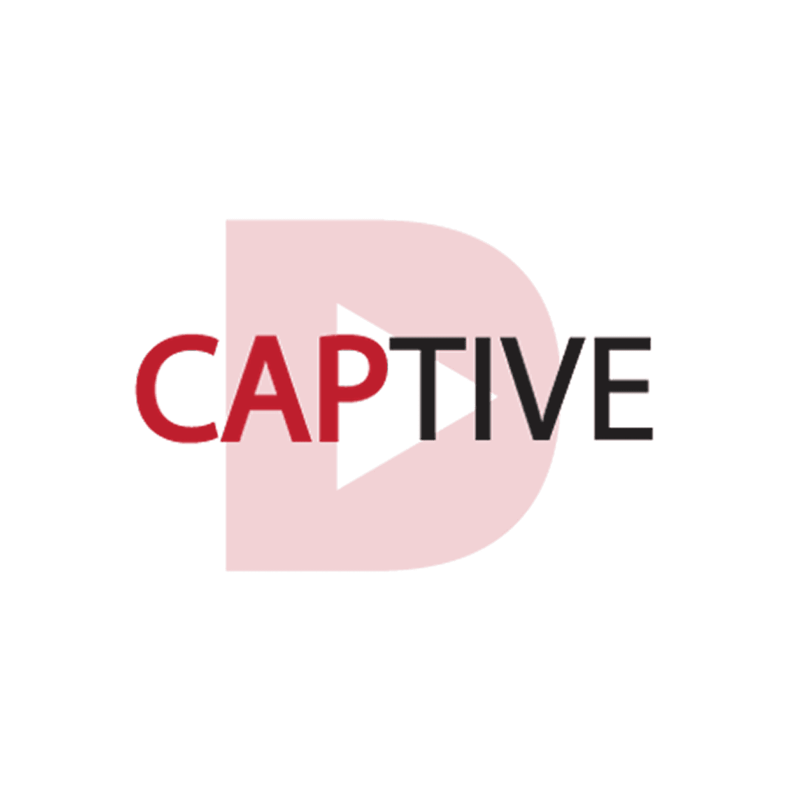 Campaign Effectiveness Audit/Review logo